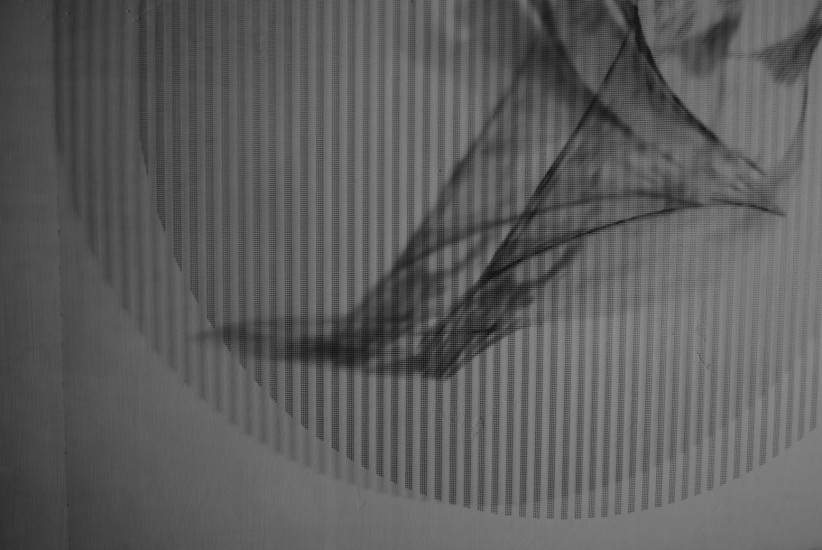 Reflection [ 10 ] - zoom